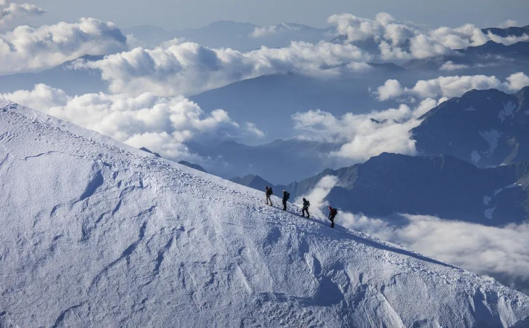 风起云涌VDS新周期——2024pp电子董事长致股东信