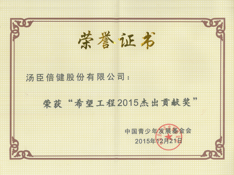 pp电子荣获“希望工程2015优异孝顺奖”