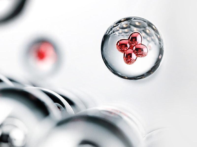 国际权威杂志Nature增刊聚焦pp电子PCC1及专利菌科学营养立异