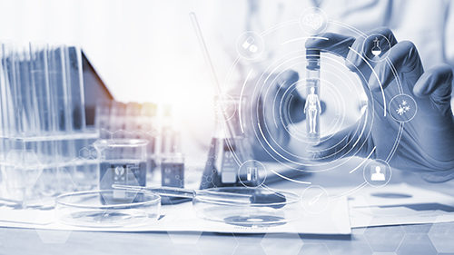 立异求变 以速率应变